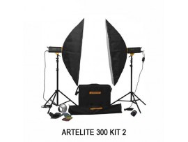 Paket Studio Golden Eagle Artelite 300 Kit 2